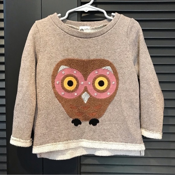 2 and 1 Kid’s Textured Owl Sweatshirt, Size Small - Picture 1 of 10